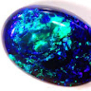 Meet your Posher, Curtis